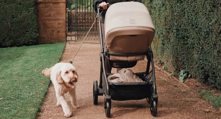 Silver Cross Prams Pushchairs Carrycots at Winstanleys Pramworld